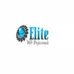 Elite Web Professionals Profile Picture